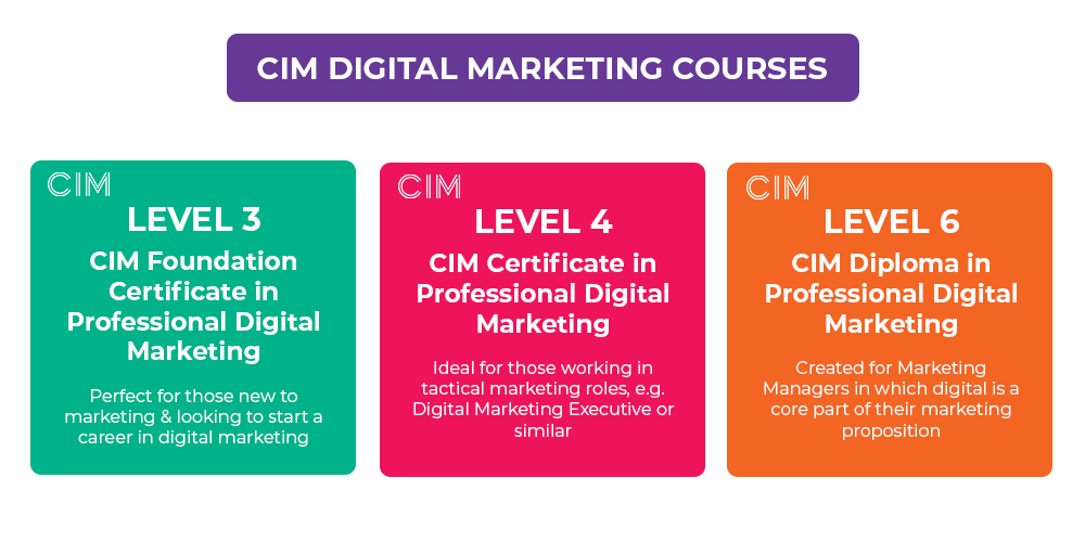 cim digital marketing techniques assignment example